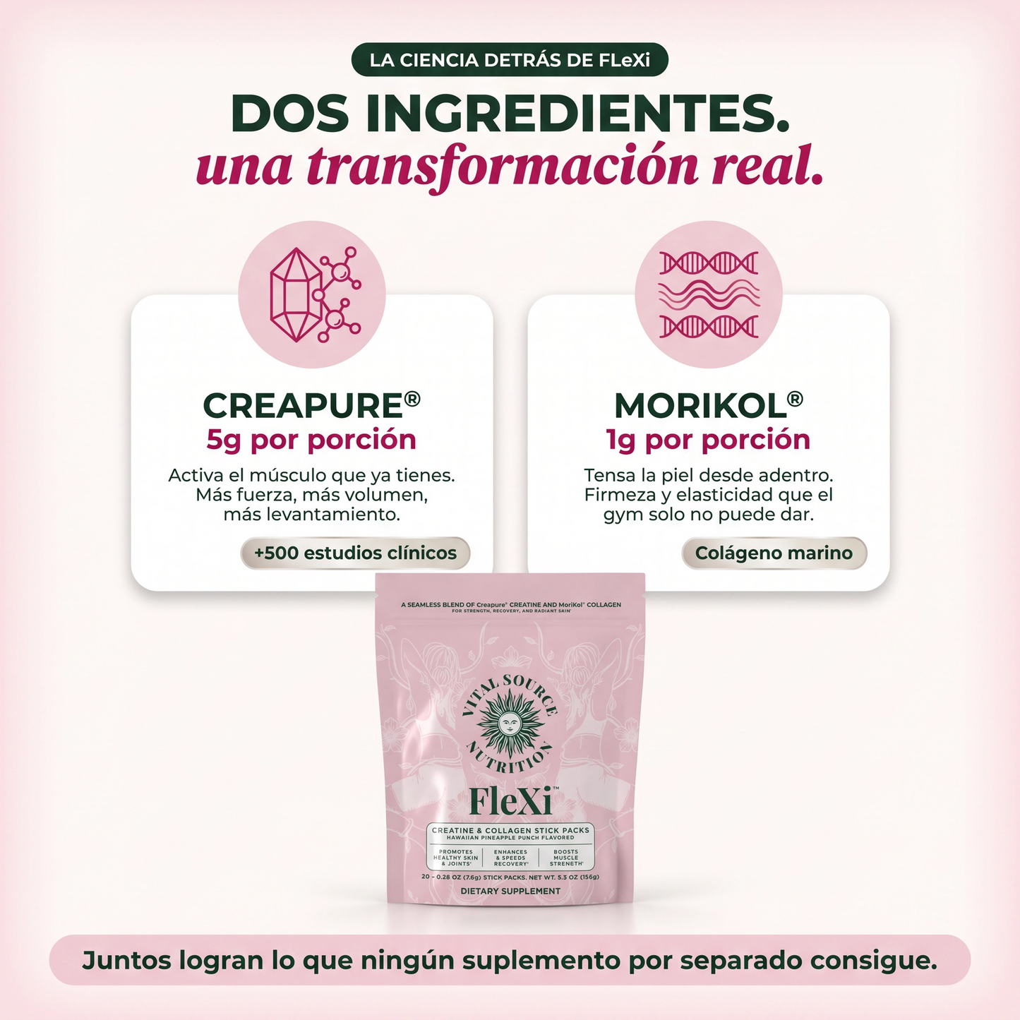 Creatina flexi