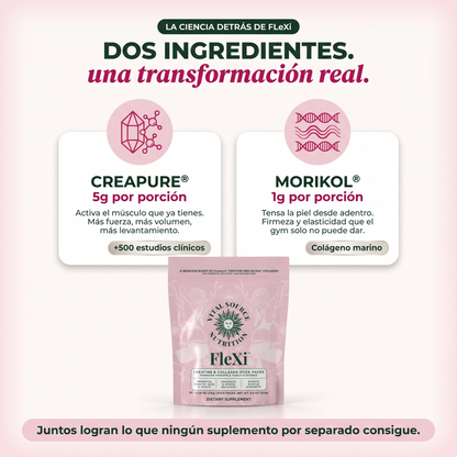 Creatina flexi